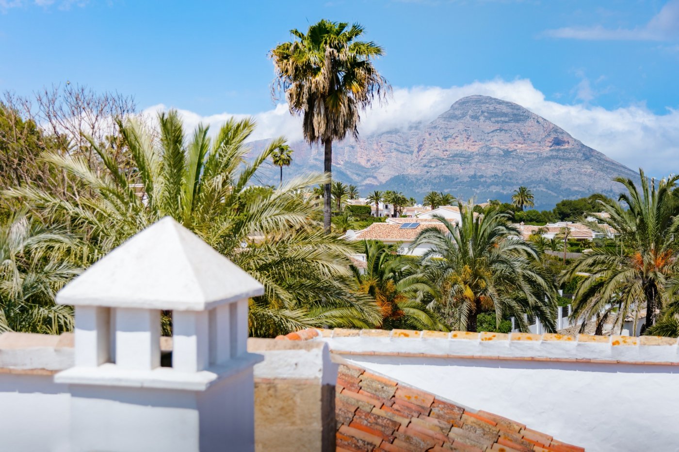 Panoramic views of the Montgó mountain from the villa, featuring traditional terracotta roofing and a lush landscape of mature palm trees.