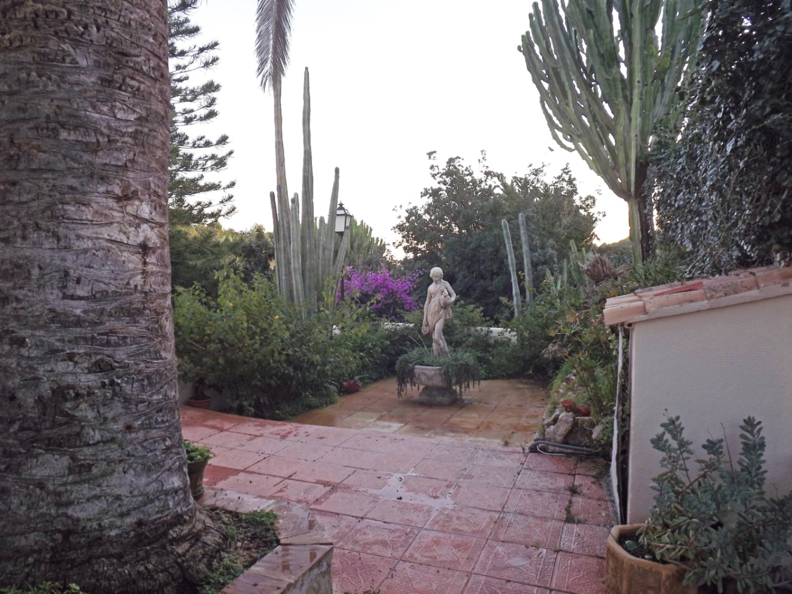 Outdoor patio featuring patterned terracotta tiles, a central classical stone statue, and lush Mediterranean landscaping with mature cacti and palm trees.