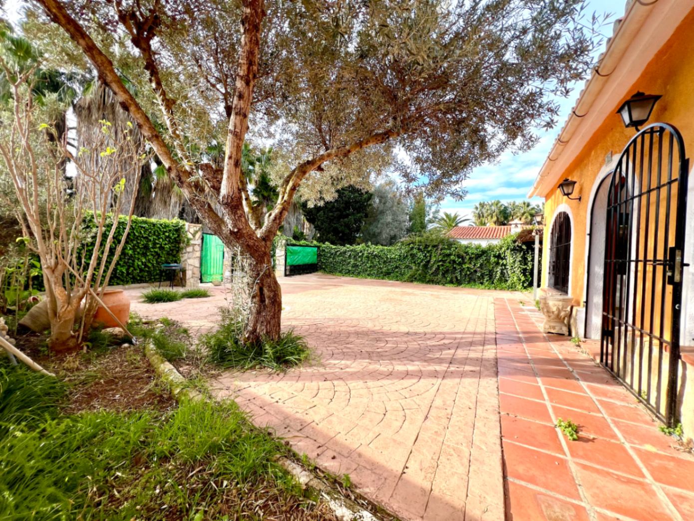 Paved outdoor patio featuring a fan-patterned floor and a mature olive tree, adjacent to the terracotta facade with arched windows and wrought iron bars.