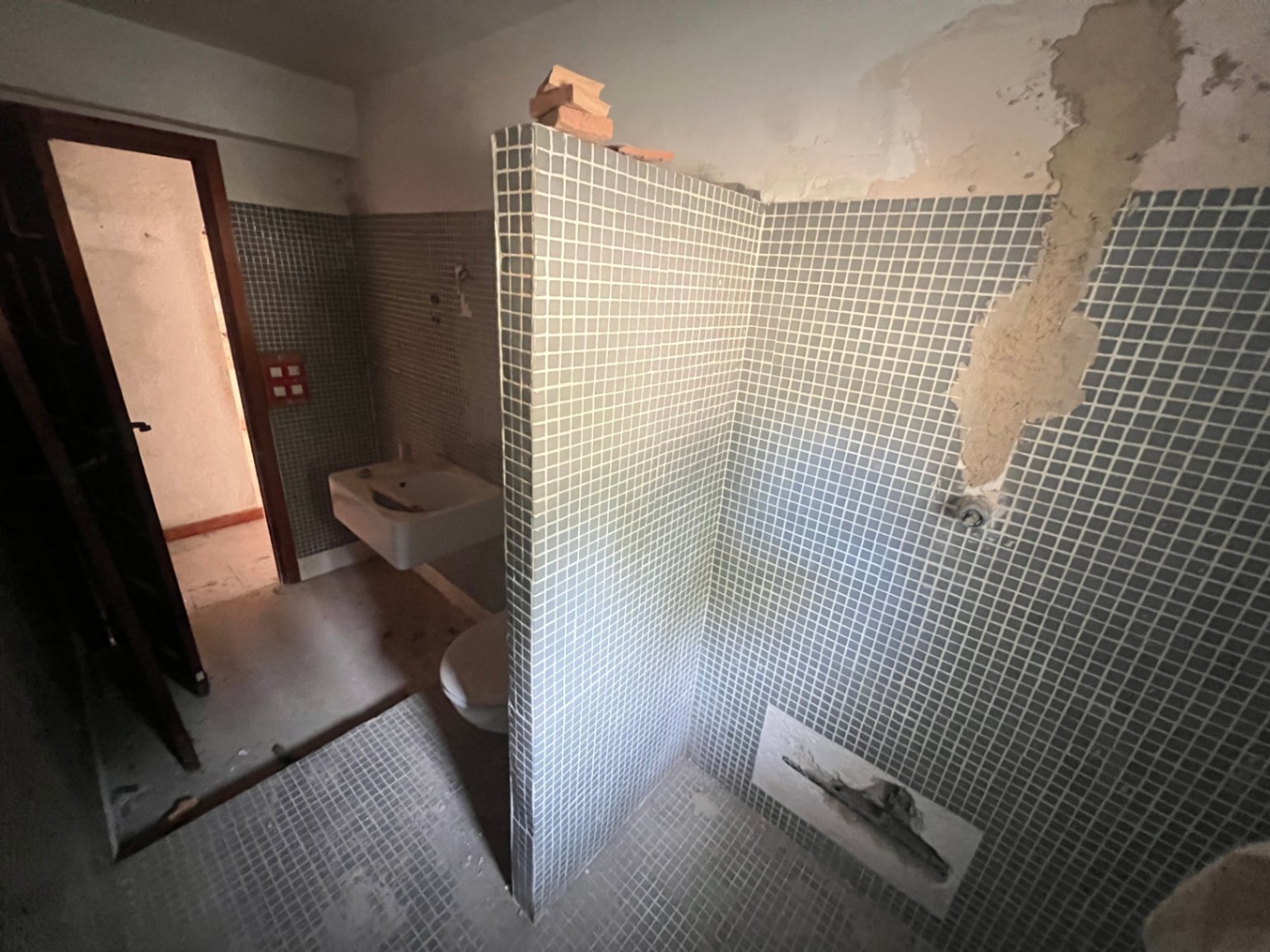 Bathroom requiring full renovation featuring blue mosaic tiling, a partitioned shower area, and original fixtures, ideal for a custom redesign project.