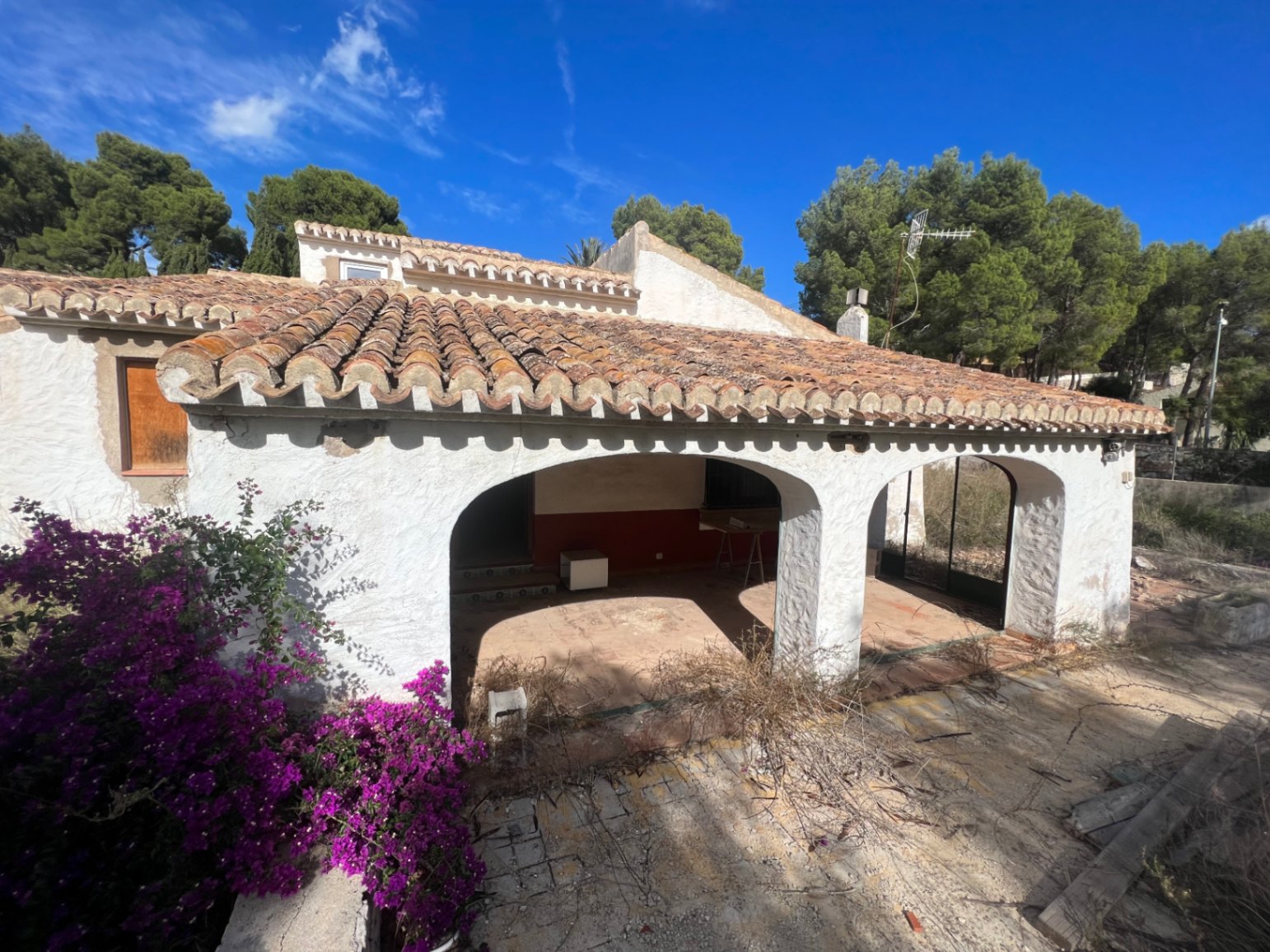 Exterior view of a traditional villa featuring an arched naya, terracotta roof tiles, and white walls. A vibrant bougainvillea frames the terrace set against a pine forest.