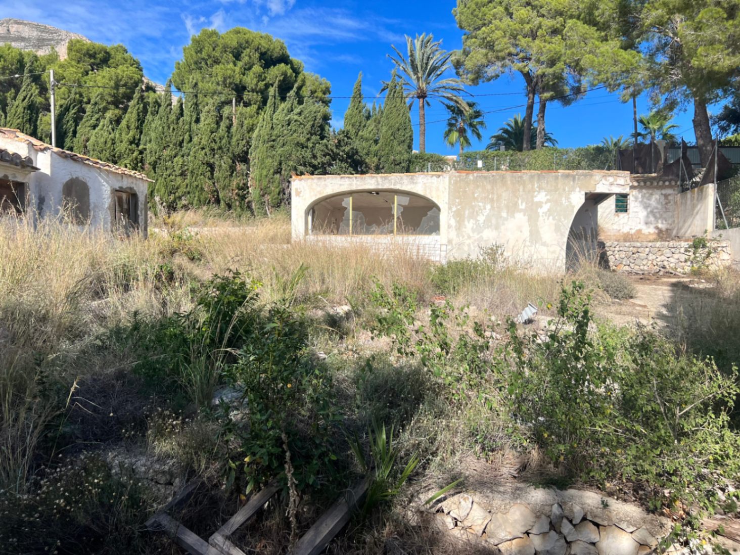 Exterior view of an outbuilding with arched openings and broken windows, set amidst overgrown Mediterranean vegetation and mature trees.