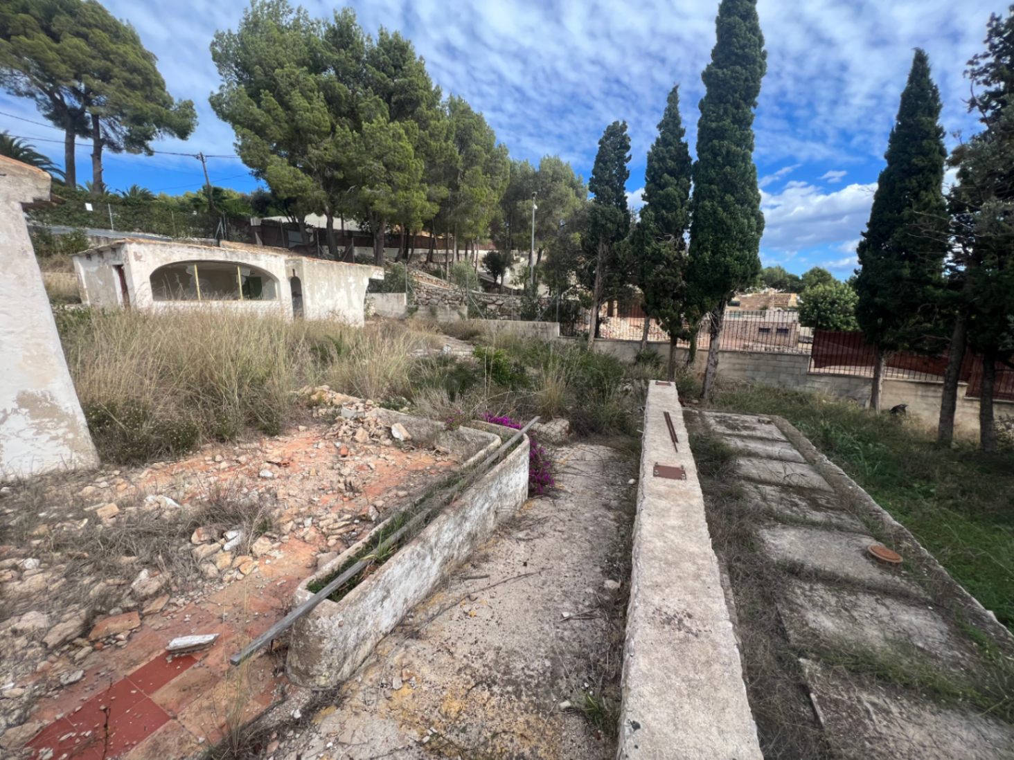 View of the expansive plot featuring Mediterranean pines, cypress trees, and original concrete structures awaiting complete renovation in Jávea.
