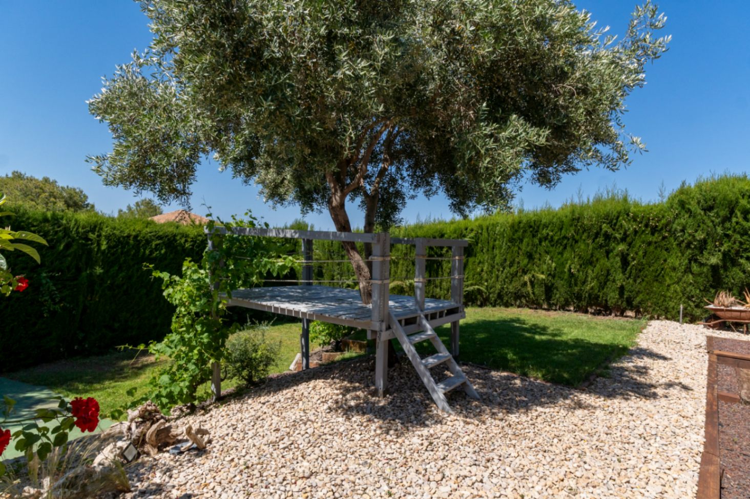 Elevated wooden platform built around a mature olive tree, featuring a small access ladder and rope railings within a landscaped garden with gravel and lawn.
