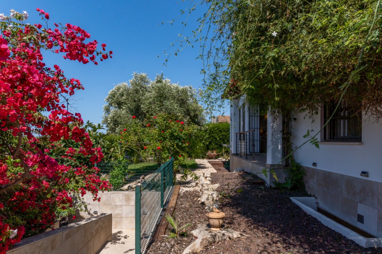 Mediterranean garden featuring vibrant bougainvillea, gravel pathways, and a stone-clad facade. Lush vegetation surrounds the villa, creating a private and natural outdoor environment.