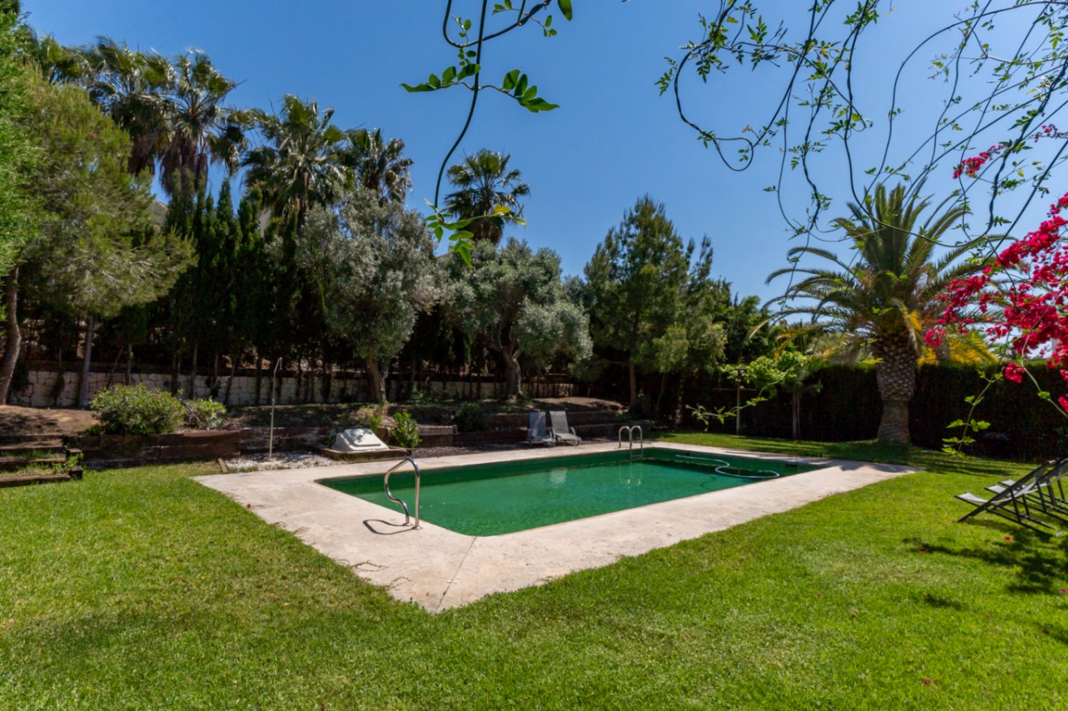 Outdoor swimming pool set within a lush Mediterranean garden featuring mature palms, pines, and a manicured lawn area.
