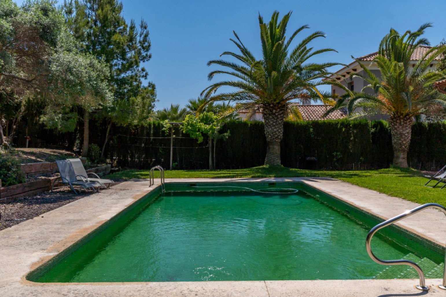 Outdoor swimming pool set within a Mediterranean garden featuring natural lawn, mature palm trees, and perimeter hedging for privacy.