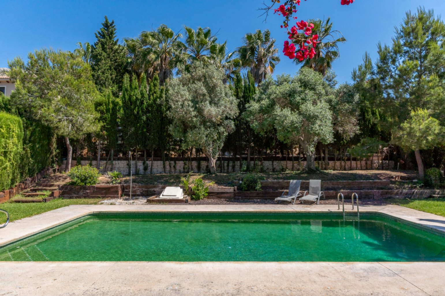 Outdoor swimming pool set within a Mediterranean garden featuring palm trees, olive trees, and terraced landscaping with wooden sleepers.