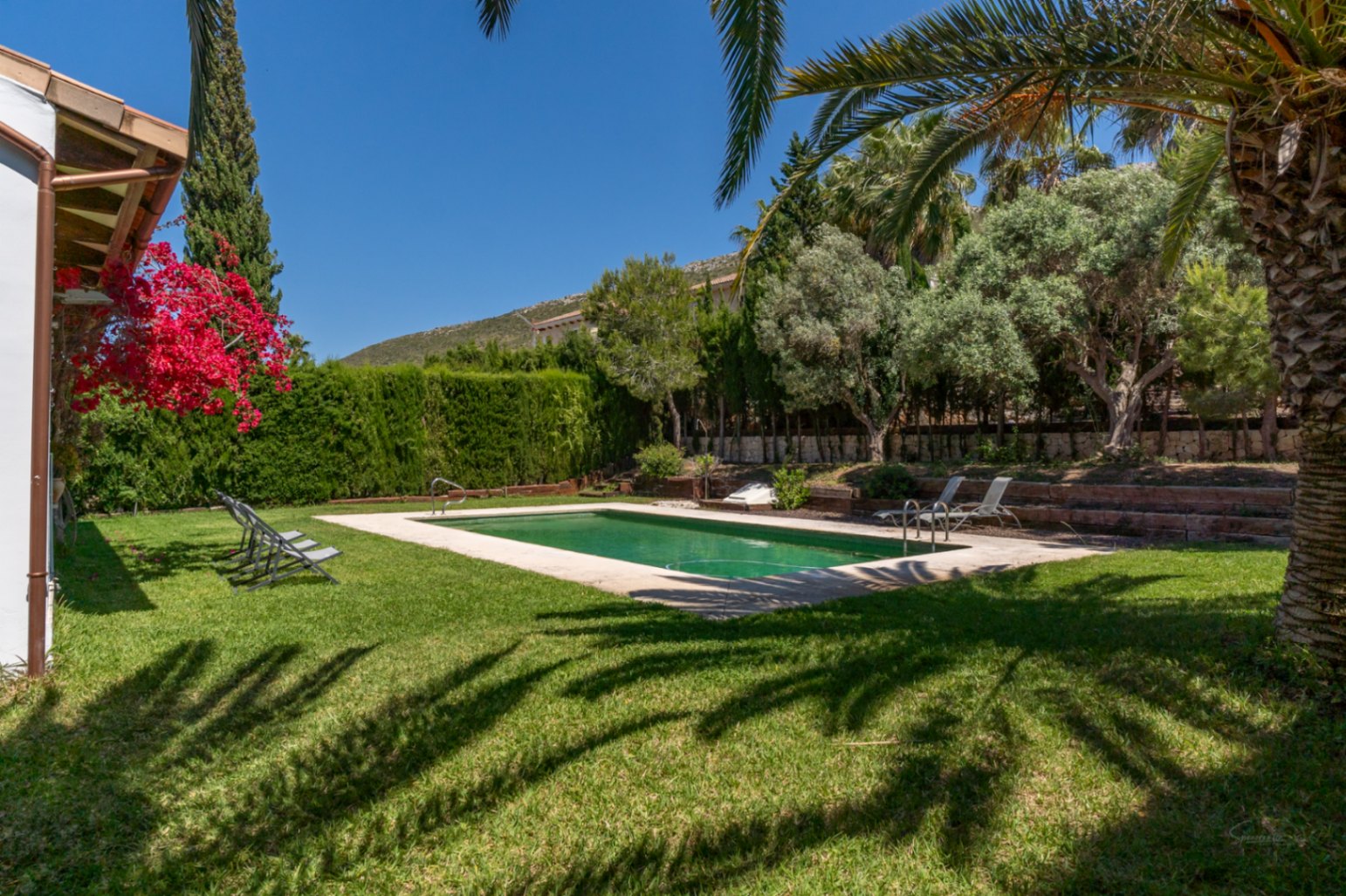 Rectangular outdoor pool set within a manicured lawn, featuring palm shadows, vibrant bougainvillea, and a backdrop of Mediterranean trees and mountains.