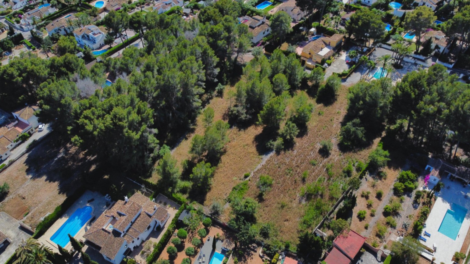 Aerial view of a large flat plot surrounded by mature pine trees and established residential villas with private pools in Jávea.