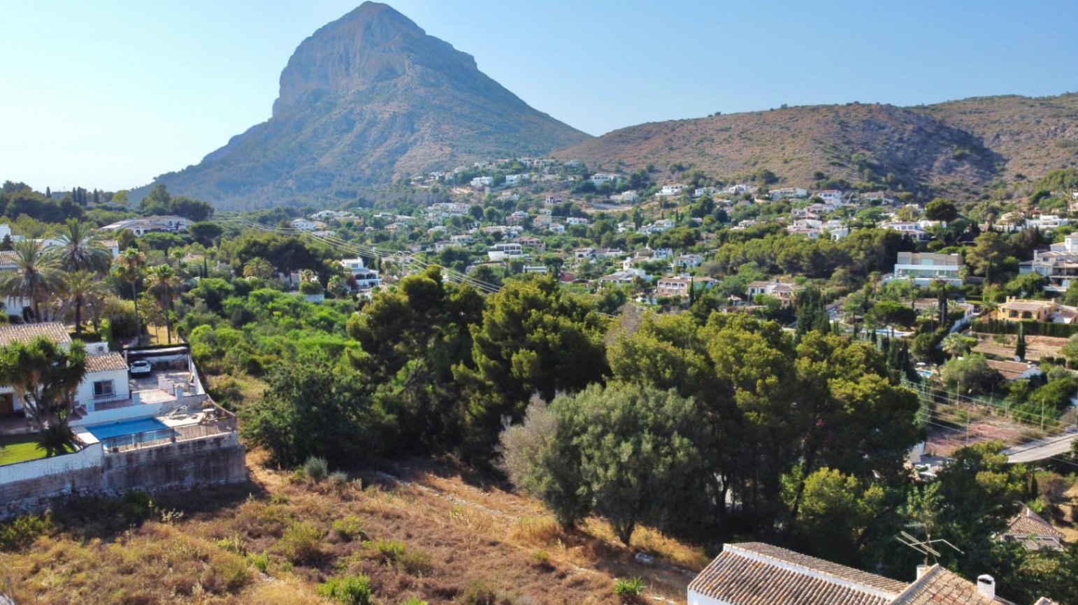 Panoramic view of the Montgó mountain from the elevated plot, surrounded by Mediterranean pines and established residential villas in Jávea.