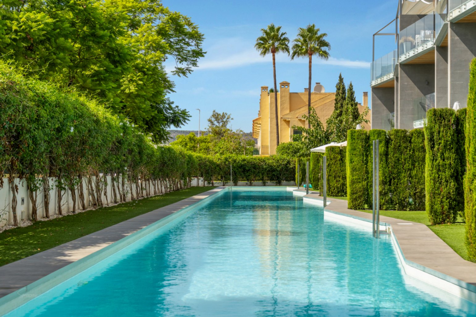 A 53-meter long communal swimming pool featuring turquoise water, bordered by manicured cypress hedges and modern residential architecture.