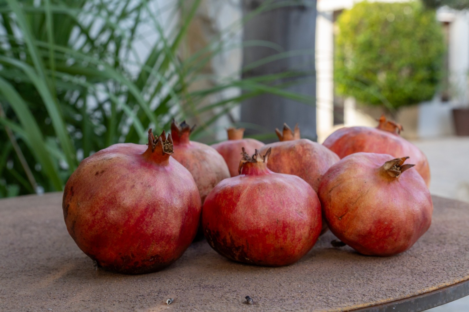 A close-up of fresh pomegranates on a rustic surface, highlighting the Mediterranean harvest and natural charm of the villa's lush garden.