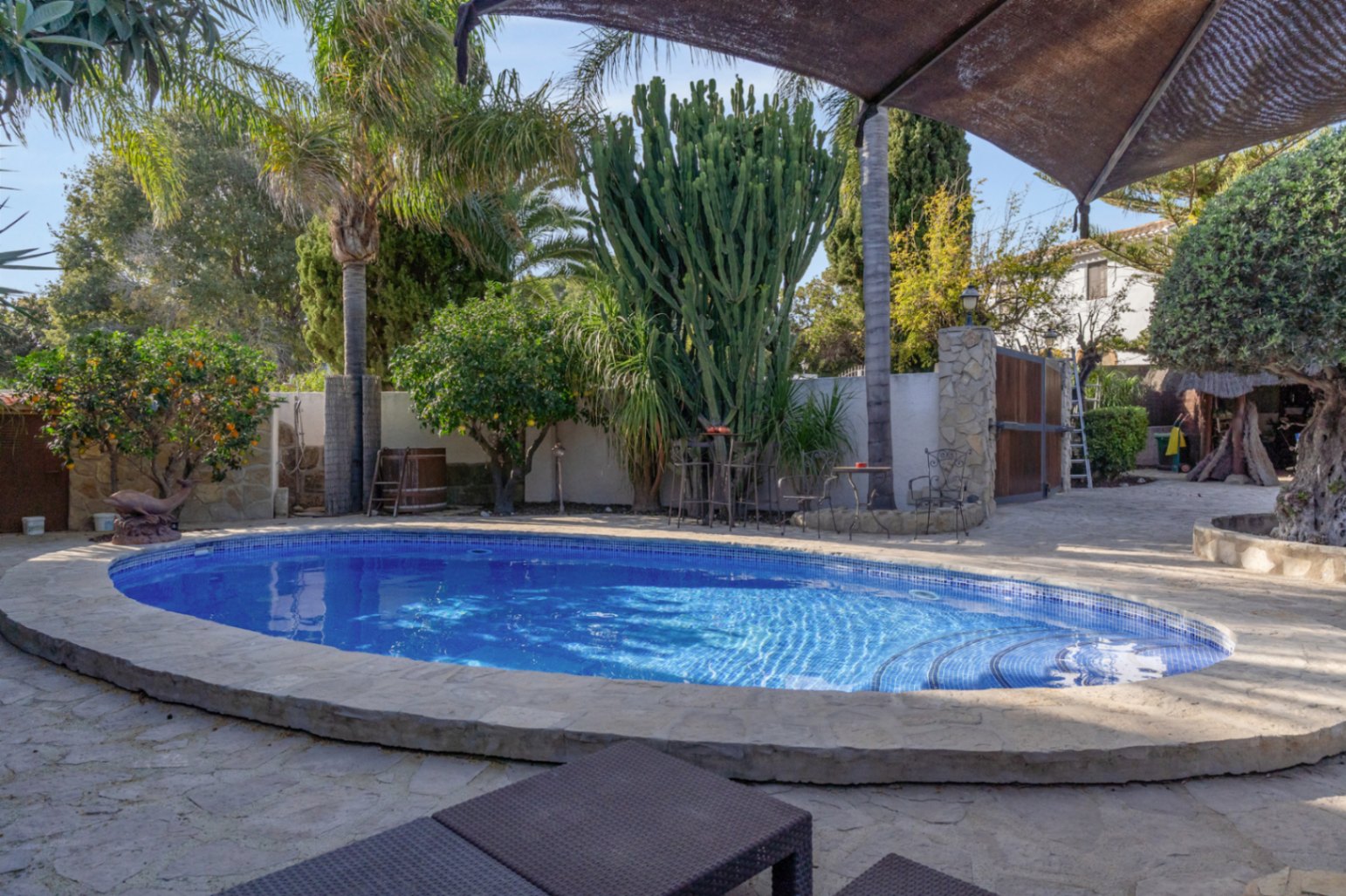 Oval swimming pool with blue mosaic tiling, surrounded by natural stone paving and a lush Mediterranean garden featuring palms, cacti, and citrus trees.