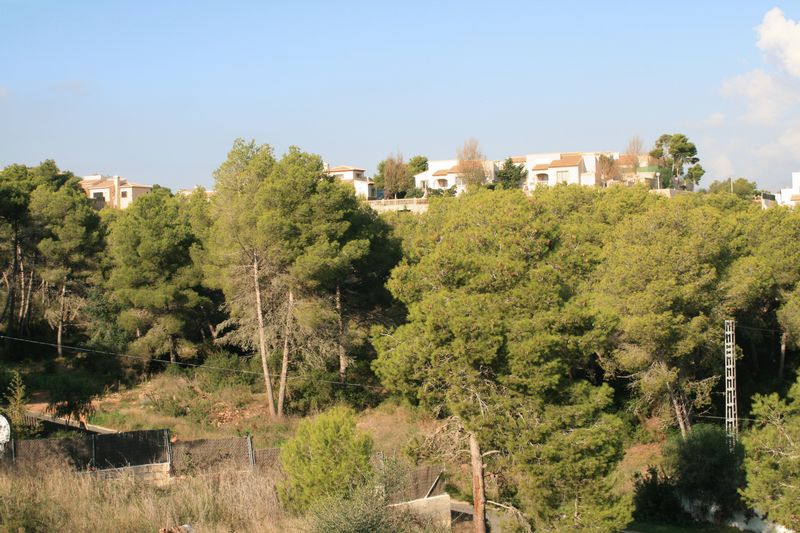 Elevated view of a sloping plot featuring mature pine trees and natural Mediterranean vegetation, with existing residential villas visible on the horizon.