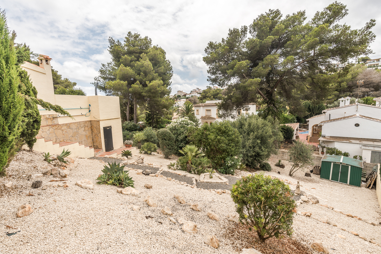 Terraced low-maintenance garden with gravel surfaces, agave plants, and a green storage shed, bordered by mature pine trees and neighboring villas.