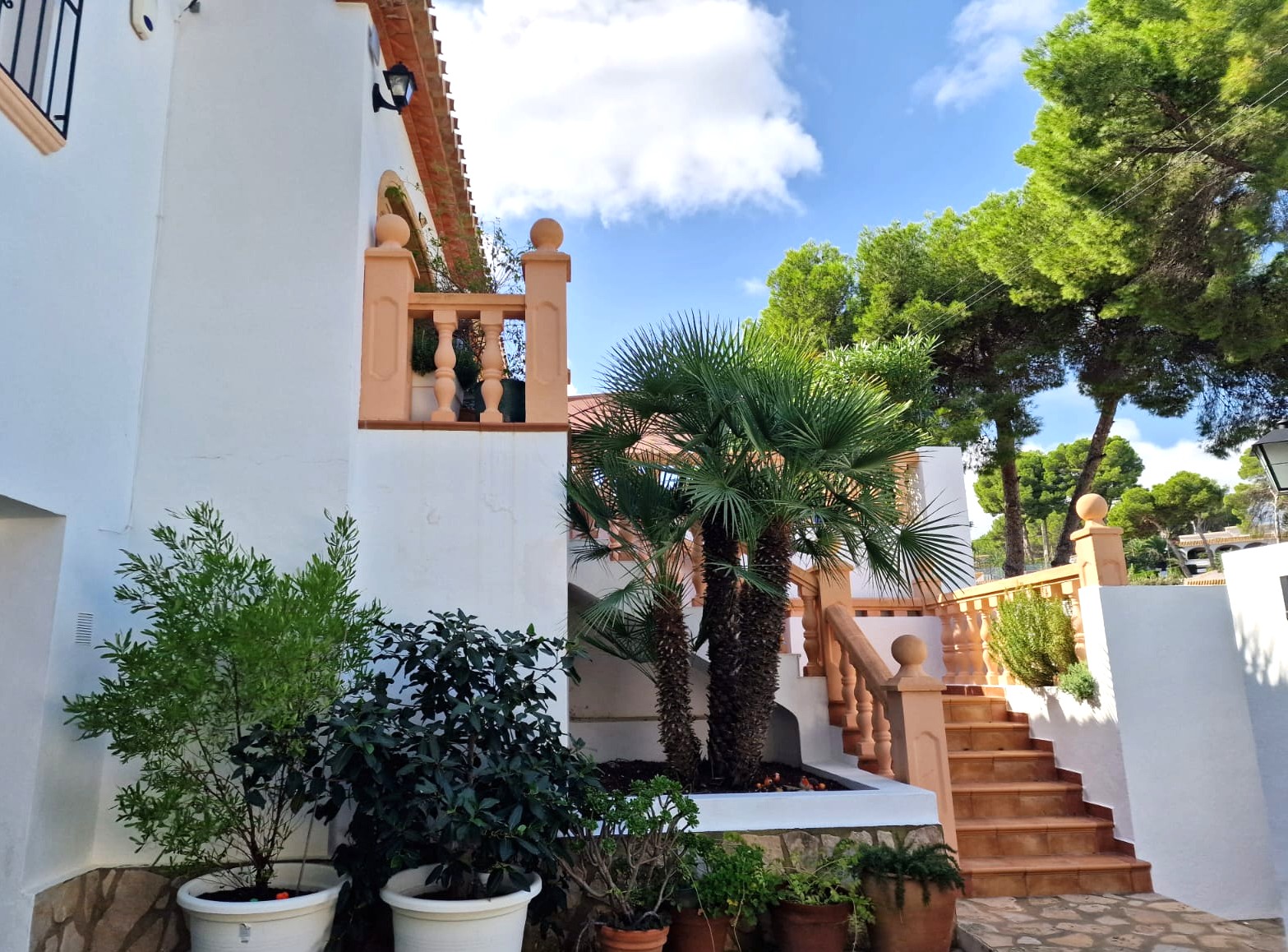 Exterior staircase with terracotta balustrades leading to the upper floor, featuring a central palm tree and lush Mediterranean potted plants.