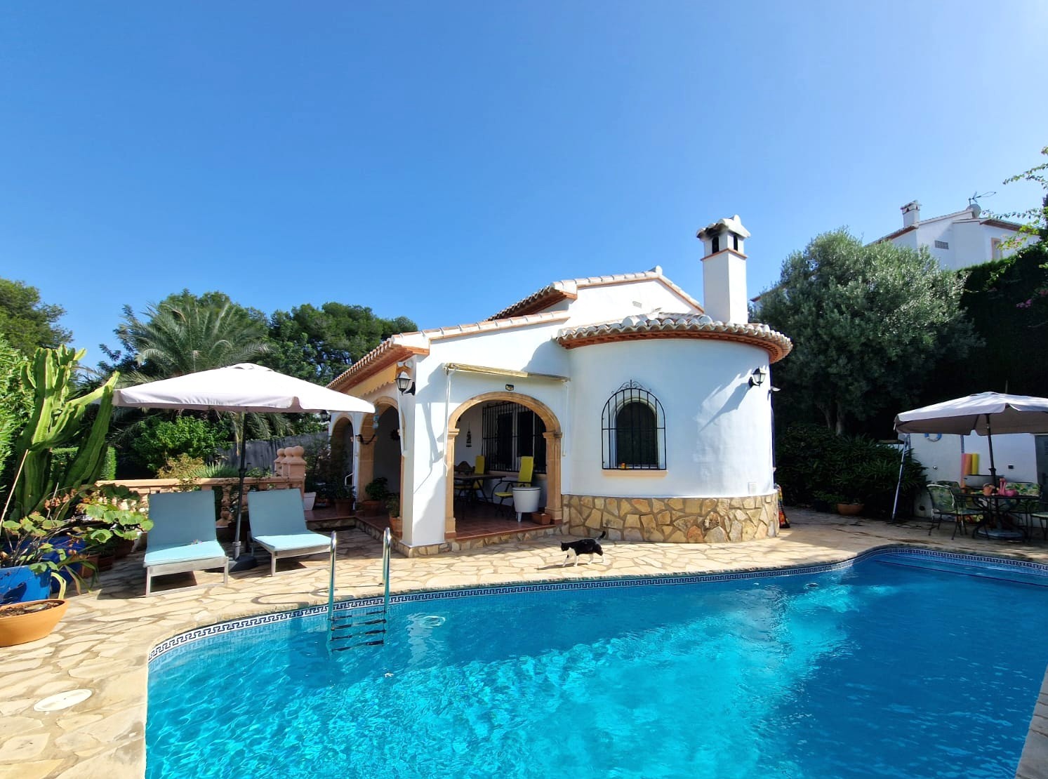 Exterior view of the villa featuring a curved facade with stone accents, a stone-paved sun terrace, and a private swimming pool.