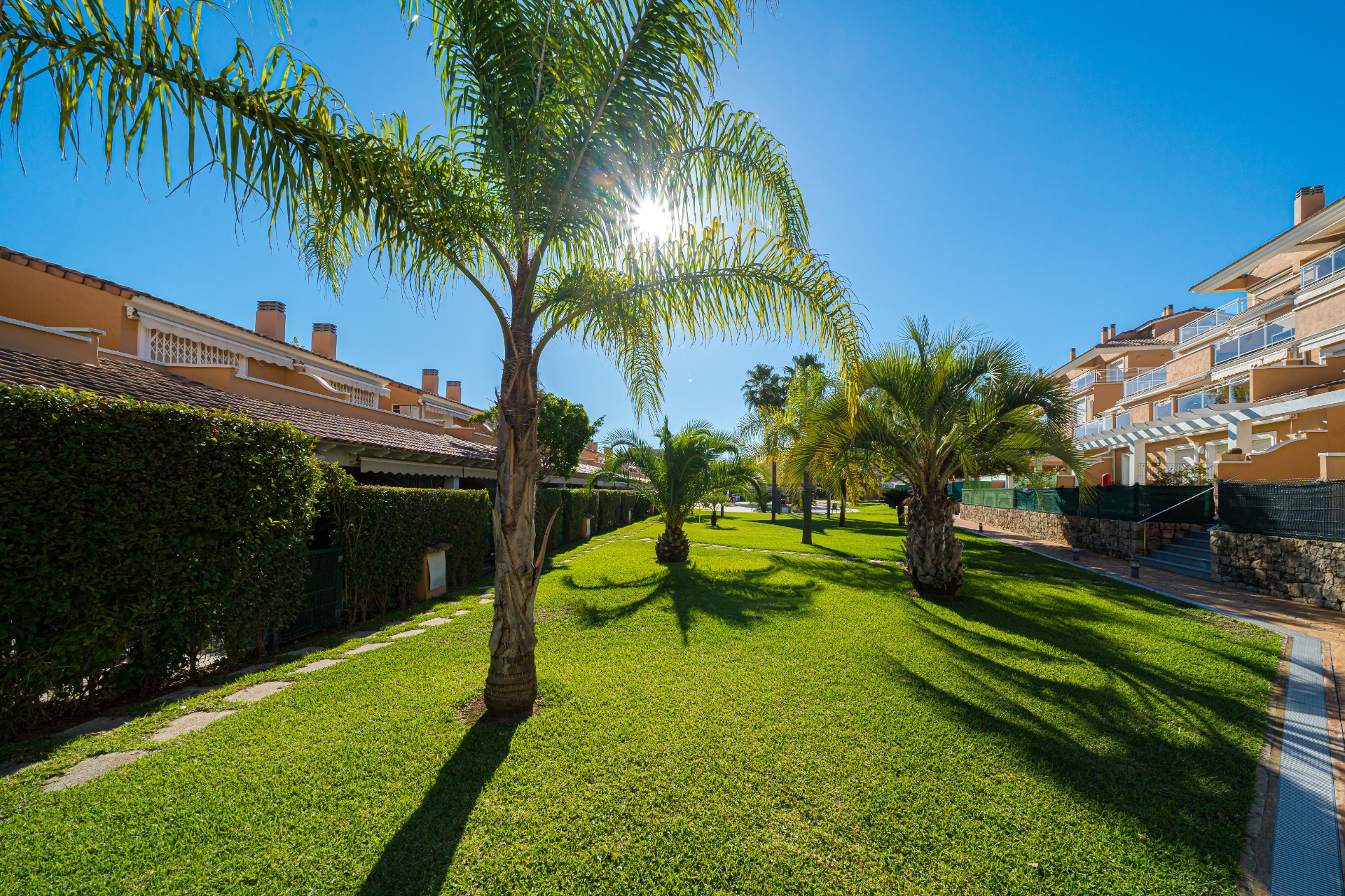 Landscaped communal gardens with manicured lawns and mature palm trees, framed by Mediterranean-style apartment buildings under a bright sky.