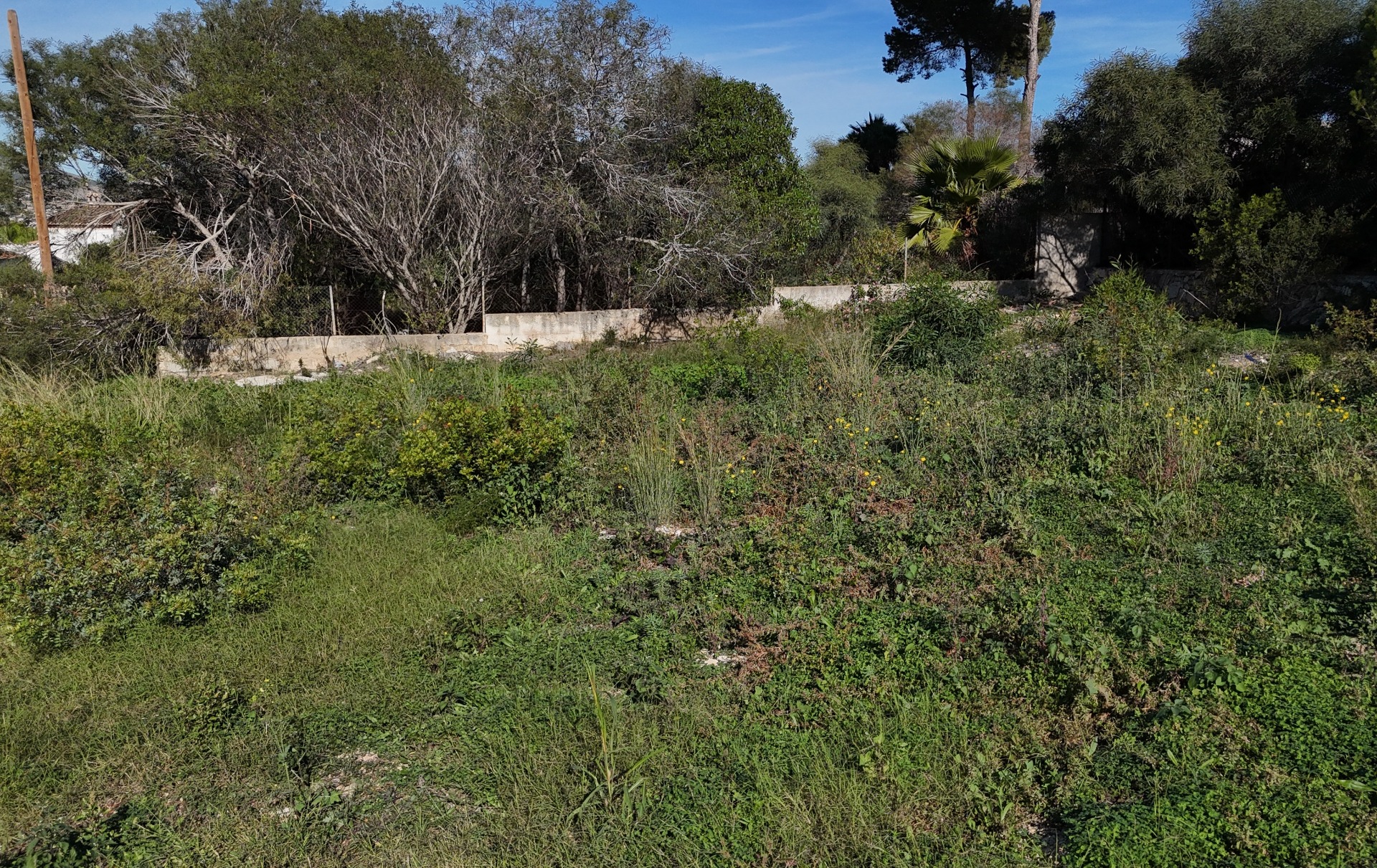 View of the flat, 889 m² building plot in Pinosol, showing the natural vegetation and existing concrete boundary wall under a clear sky.
