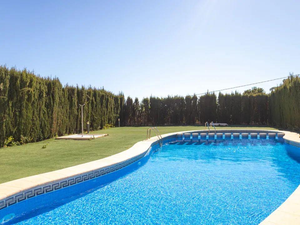 Communal swimming pool with curved edges and blue mosaic tiles, featuring a lawn area and a high privacy hedge under a clear Mediterranean sky.