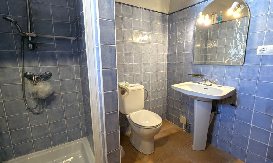 Functional bathroom featuring blue ceramic wall tiles, a walk-in shower, a pedestal sink, and an arched mirror with decorative etching and integrated lighting.