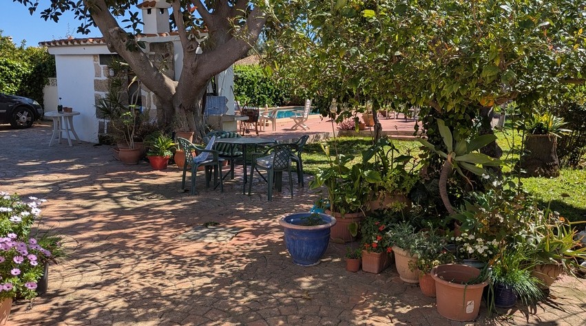 Paved garden patio shaded by mature trees, featuring an outdoor dining set and various potted plants adjacent to the private pool and summer kitchen.