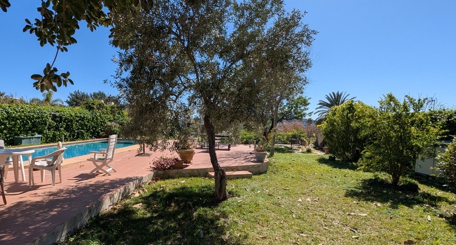 Private rectangular pool bordered by a terracotta terrace and a lawned garden with mature olive trees and Mediterranean shrubbery.