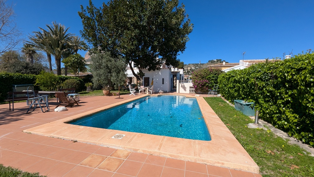 Private rectangular swimming pool surrounded by a terracotta tiled terrace and mature Mediterranean gardens with palm trees and high privacy hedges.