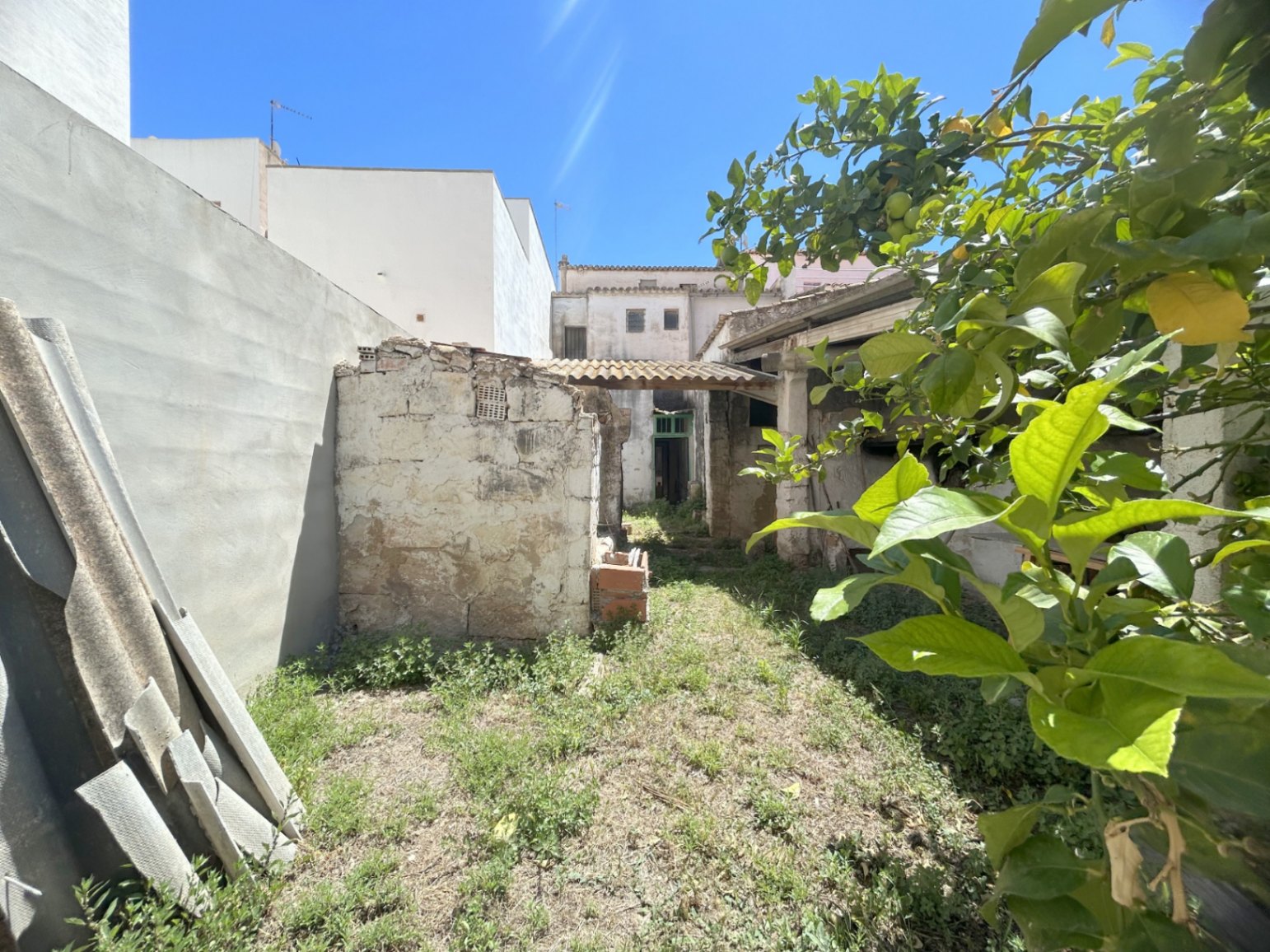 Rear garden area featuring original stone walls, a lemon tree, and rustic outbuildings, providing a private outdoor space for renovation and landscaping.