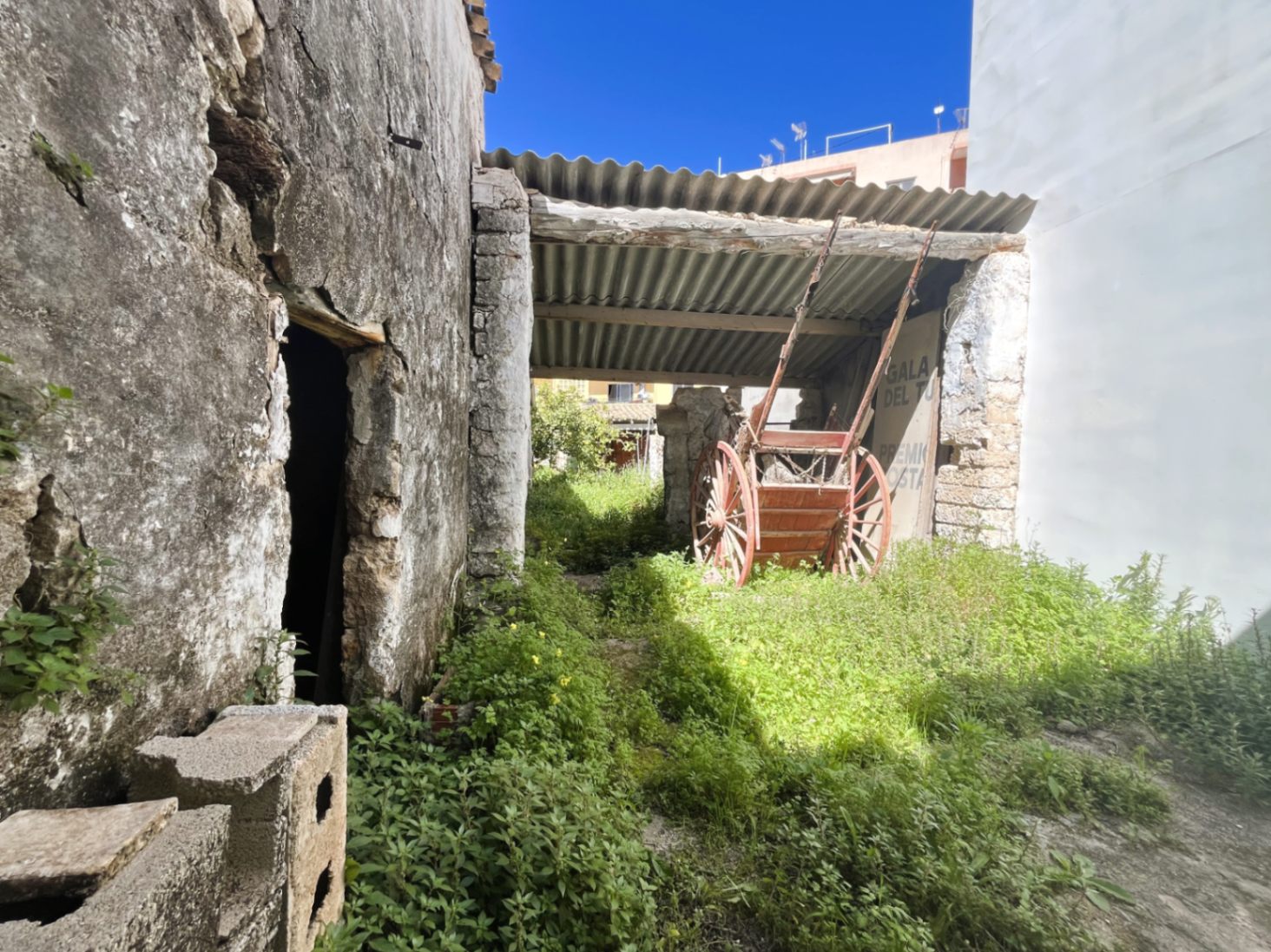 Rustic rear courtyard featuring original stone walls, natural vegetation, and an antique wooden carriage sheltered under a covered structure, showcasing the property's history.