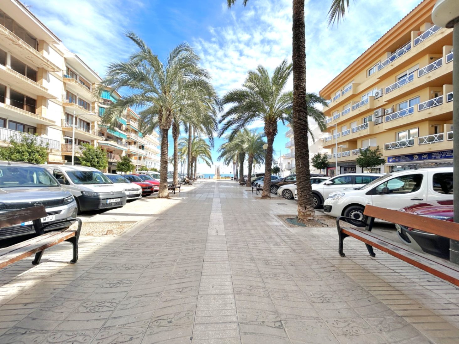 Paved pedestrian promenade lined with tall palm trees and residential buildings, featuring wooden benches and a direct view towards the sea.