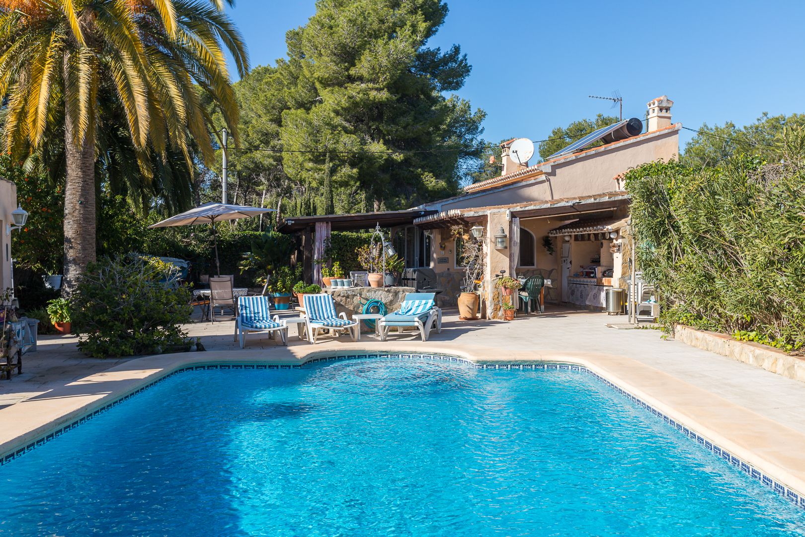 Blue tiled swimming pool with a sunny terrace, featuring a covered outdoor kitchen area and rooftop solar panels surrounded by Mediterranean pines and palm trees.