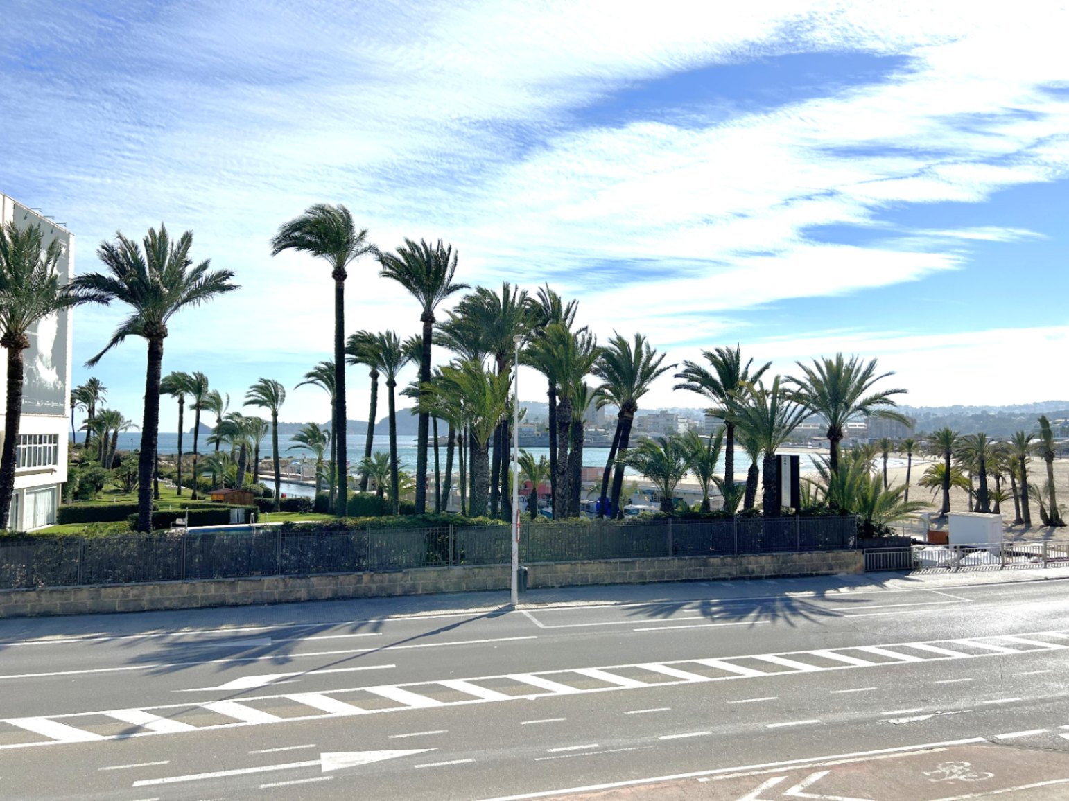 Elevated view from the terrace overlooking a coastal road, a line of mature palm trees, and the Mediterranean Sea under a clear sky.
