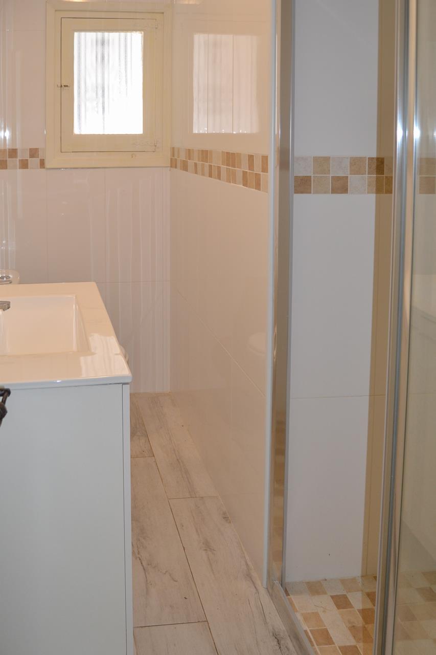 Functional bathroom featuring a white vanity unit, wood-effect porcelain flooring, and a glass shower enclosure with decorative mosaic tiling.
