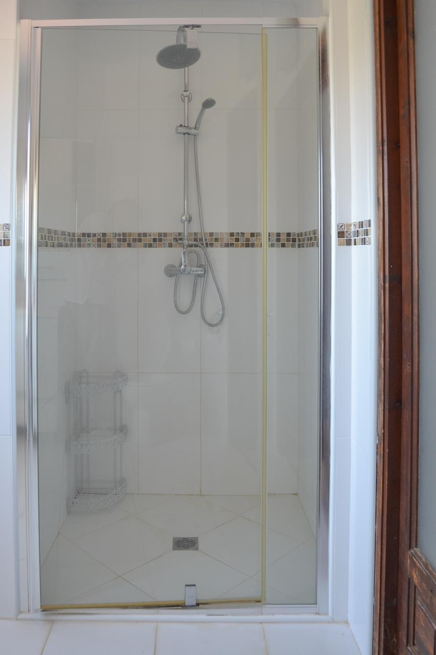 Modern walk-in shower featuring a glass enclosure, dual rain and handheld shower heads, and a decorative mosaic tile border.