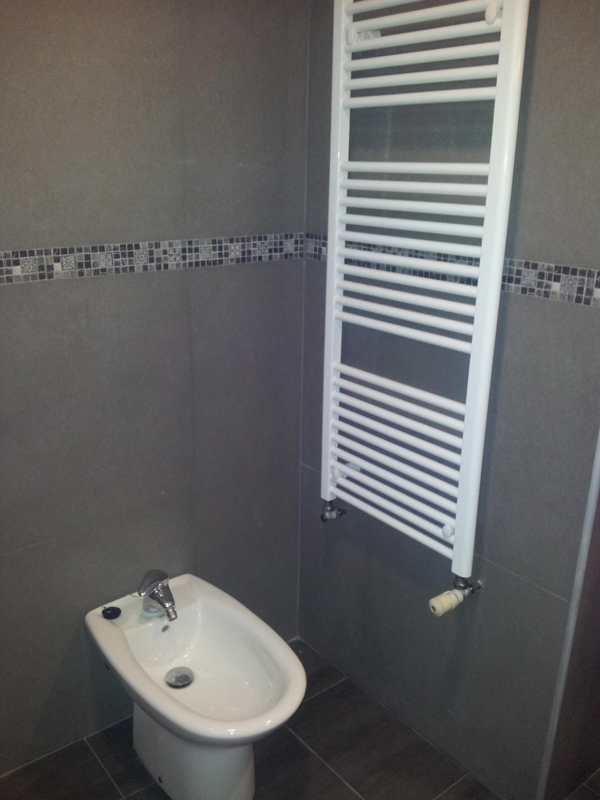 Bathroom corner featuring a white ceramic bidet and a wall-mounted heated towel rail. The walls are finished with dark grey tiles and a mosaic border.
