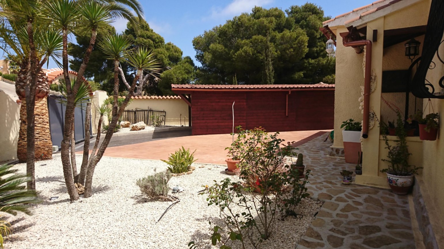 Exterior entrance featuring a paved driveway, white gravel landscaping with palm trees, and a wooden storage structure set against mature pine trees.