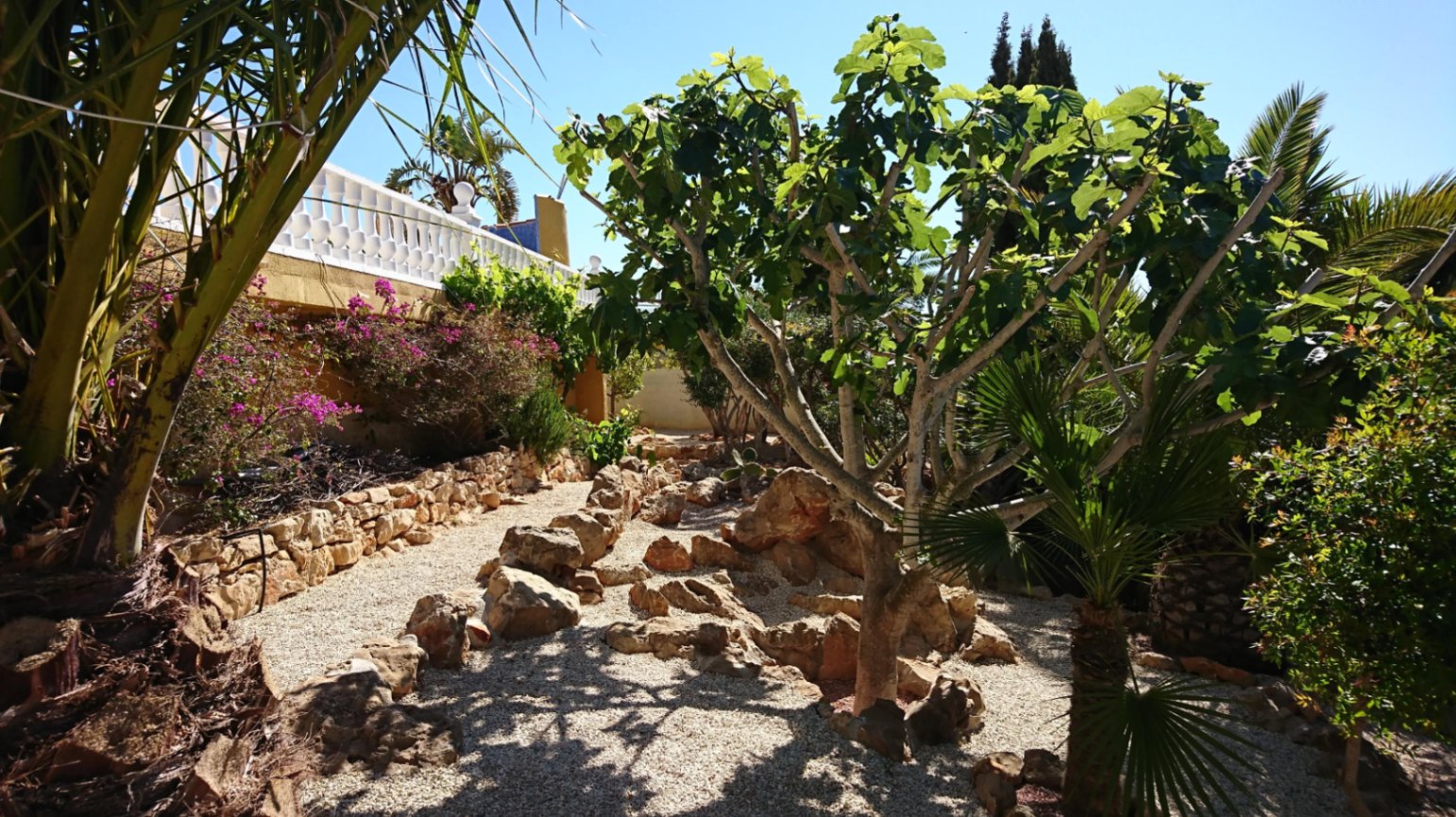 Mediterranean garden featuring gravel paths, natural rock borders, a central fig tree, and stone retaining walls beneath a white balustraded terrace.