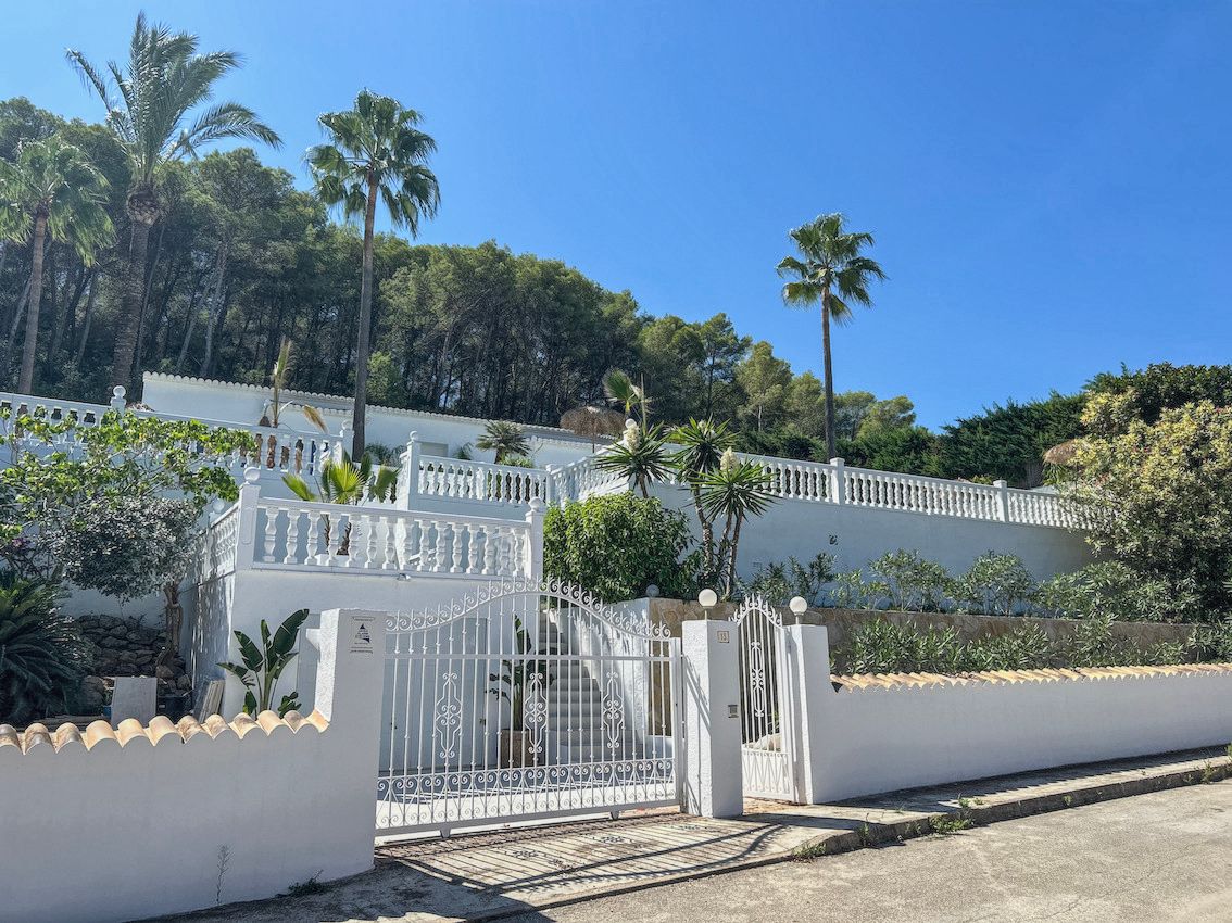 Multi-level exterior featuring white balustrade terraces, a decorative iron gate, and a lush backdrop of palm trees and pine forest.