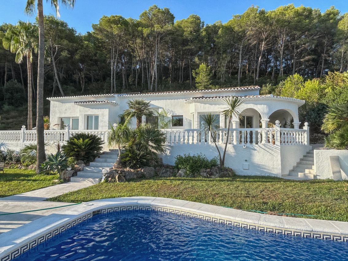 White Mediterranean villa featuring a balustrade terrace, curved arches, and a swimming pool set against a lush pine forest backdrop.