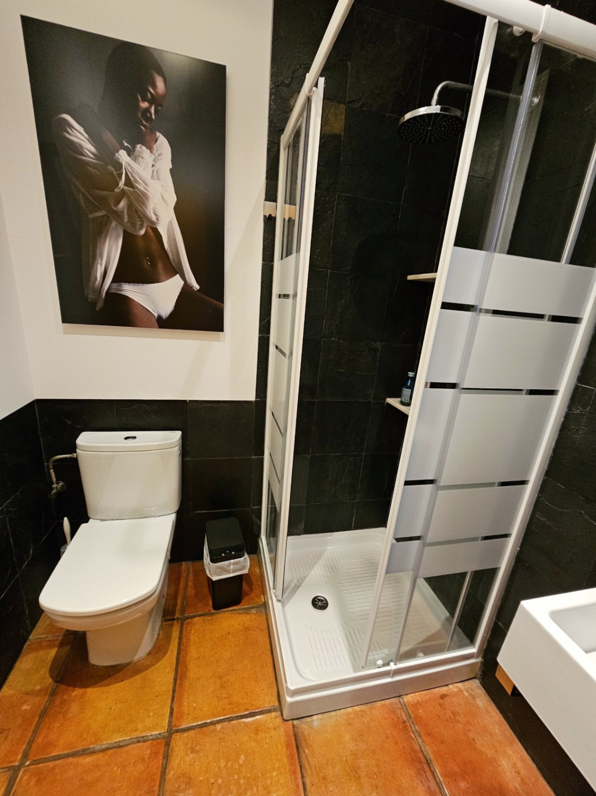 Bathroom featuring a glass-enclosed shower, dark stone wall tiling, and handmade terracotta floors. Modern white fixtures contrast with the artistic wall decor.