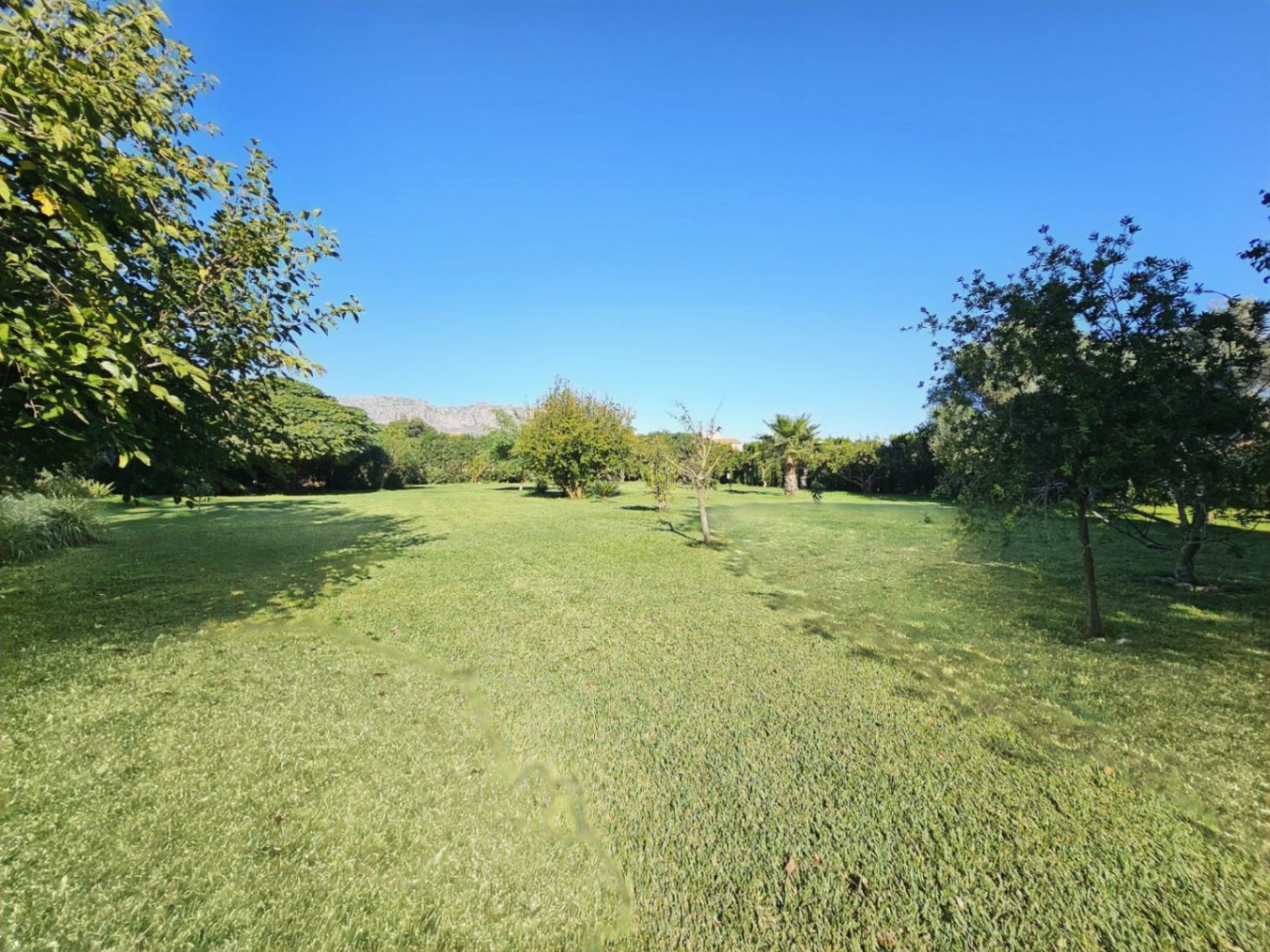 Expansive garden featuring a large, manicured lawn area bordered by various fruit trees and Mediterranean flora with mountain views.