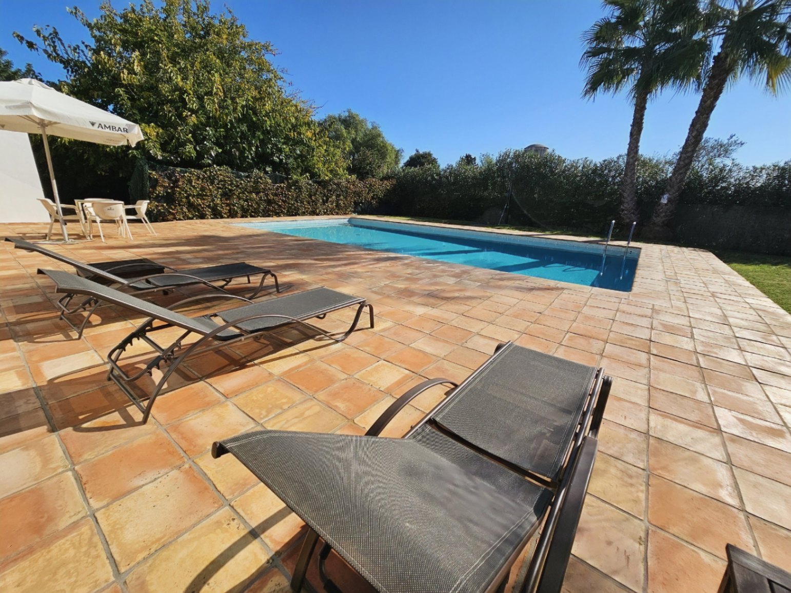 Outdoor swimming pool area featuring a spacious terrace with handmade clay tiles, sun loungers, and a private garden with mature palm trees and hedges.