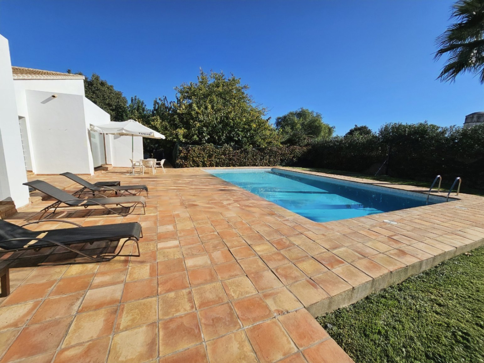 Rectangular swimming pool featuring a spacious terrace with handmade terracotta tiles, sun loungers, and views of the mature Mediterranean garden.