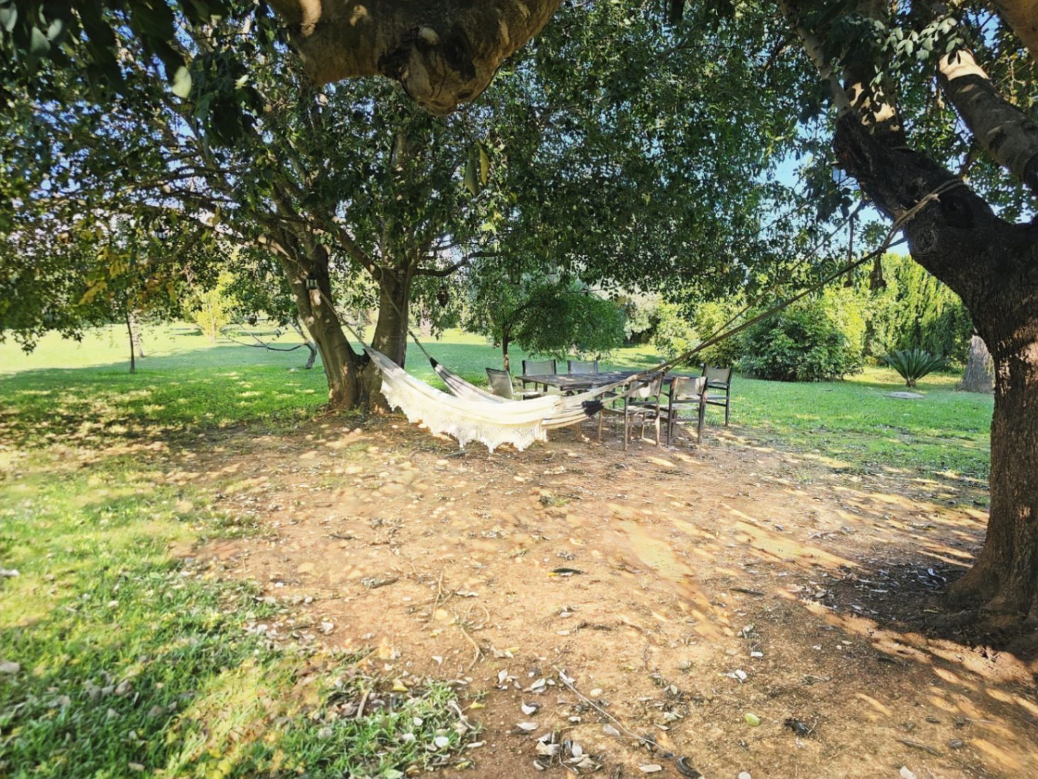 Shaded outdoor retreat featuring a white hammock and dining area nestled under large trees within the expansive landscaped garden.