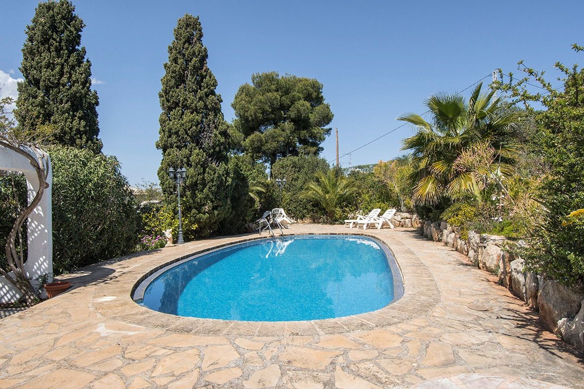 Oval swimming pool featuring a natural stone terrace and a mature Mediterranean garden with tall cypresses and palm trees.