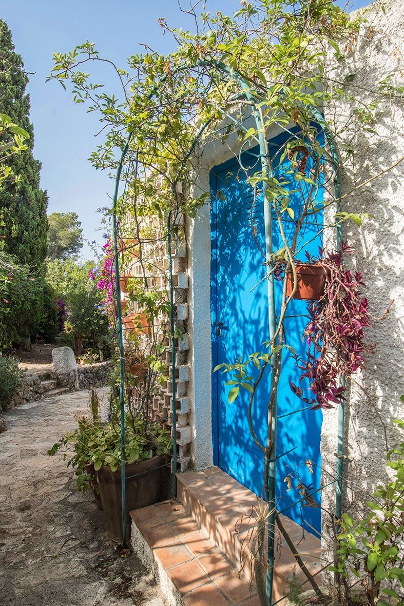 Vibrant blue door framed by a metal trellis with climbing vines, featuring terracotta steps and a stone pathway through the Mediterranean garden.