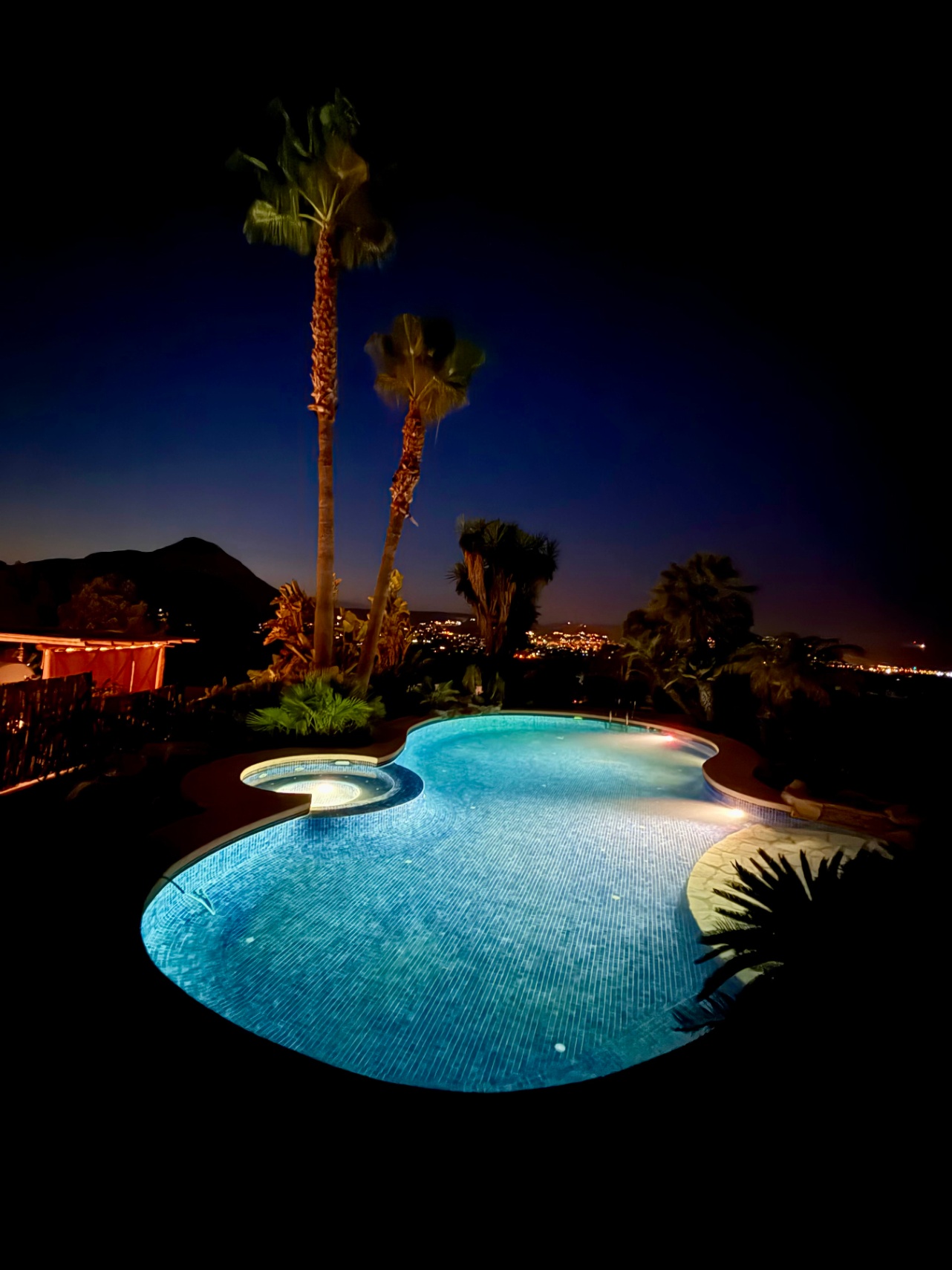 Illuminated organic-shaped swimming pool with integrated spa, surrounded by palm trees and tropical gardens with views of the Montgó at night.
