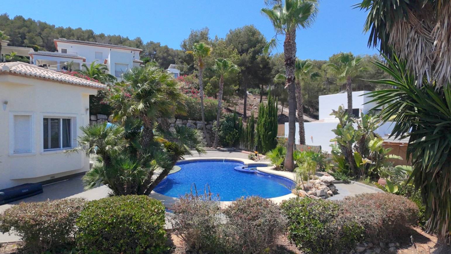 Organic-shaped swimming pool with blue mosaic tiles, bordered by mature palm trees and Mediterranean landscaping overlooking the pine-covered hillside.